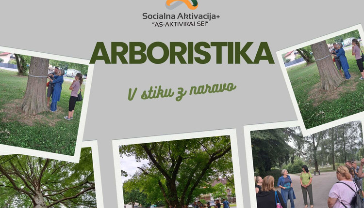 SA+: Arboristika