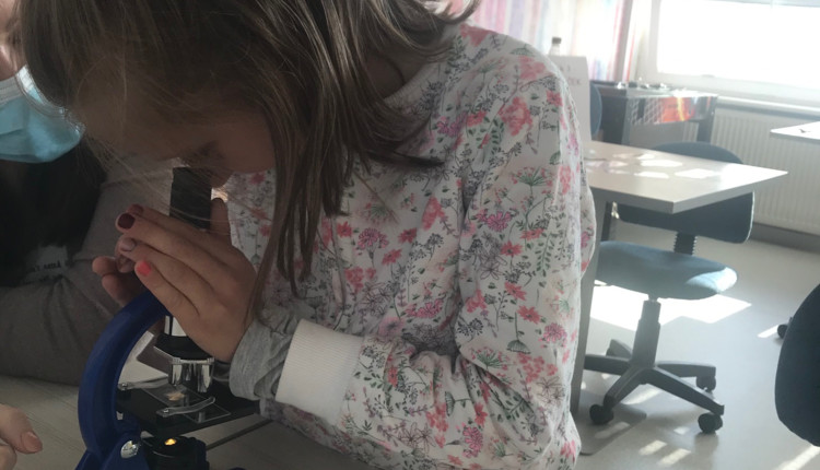 CDH - Kreativna delavnica ob svetovnem dnevu Zemlje 2021