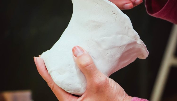 SA - Ustvarjalnost v programu 