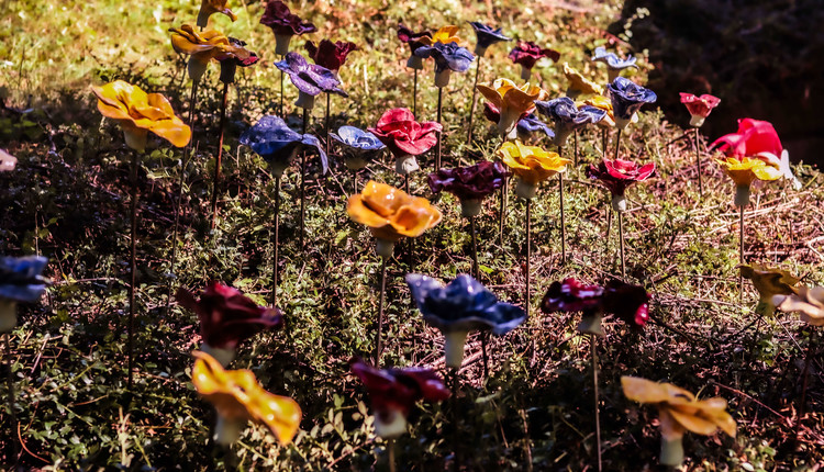 SA - Stalna razstava v Mozirskem gaju
