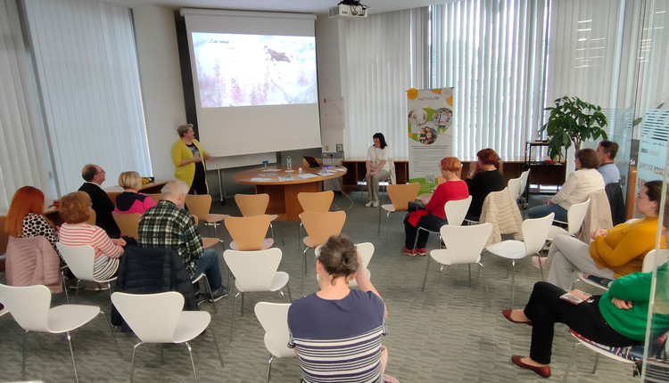 PROSTOVOLJSTVO - NOVUS