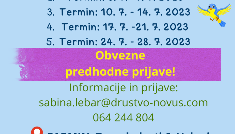 Aktivne poletne počitnice za otroke