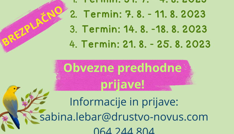 Aktivne poletne družinske urice za otroke