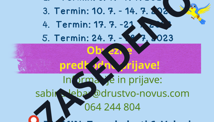 Aktivne poletne počitnice za otroke - Zasedena so vsa prosta mesta