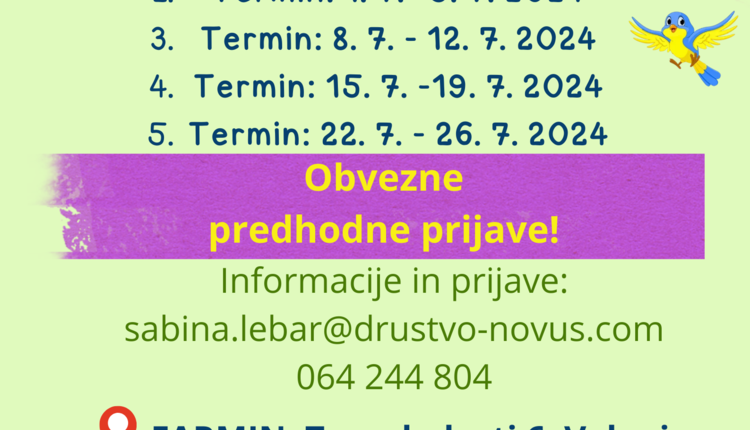 Poletne počitnice za otroke 2024