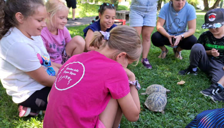 Kvalitetno preživljanje prostega časa otrok