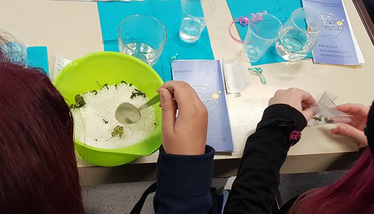 Delavnica o zeliščarstvu na Planetu generacij